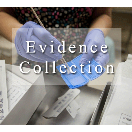 Collection Physical Evidence