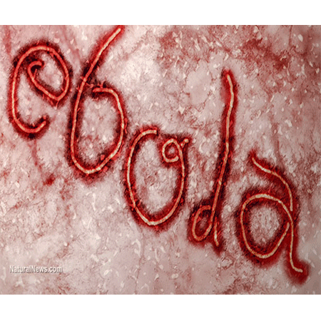 Historic Perspective On Ebola Outbreaks