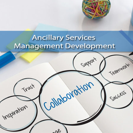 Ancillary Services Management Development